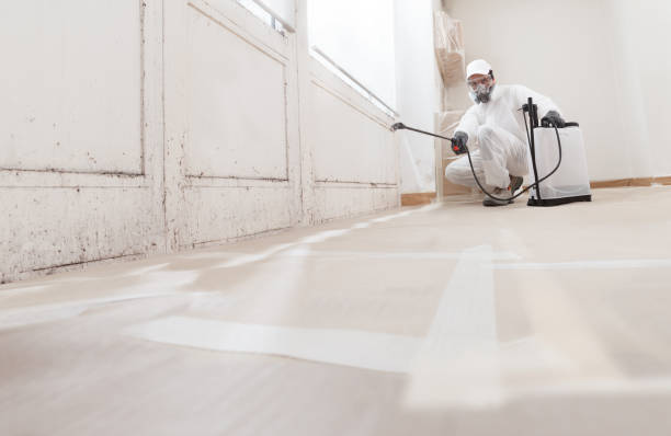 24/7 Emergency Mold Removal experts in Winchester, TN